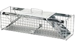 Havahart 1030 Live Animal Two-Door Rabbit, Squirrel, Skunk, and Mink Cage Trap