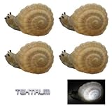 TEKTRUM SOLAR SNAIL SCULPTURE GLOWING LIGHTS (Set of 4)