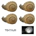 Tools & Hardware : TEKTRUM SOLAR SNAIL SCULPTURE GLOWING LIGHTS (Set of 4)