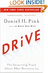 Drive: The Surprising Truth About Wha...