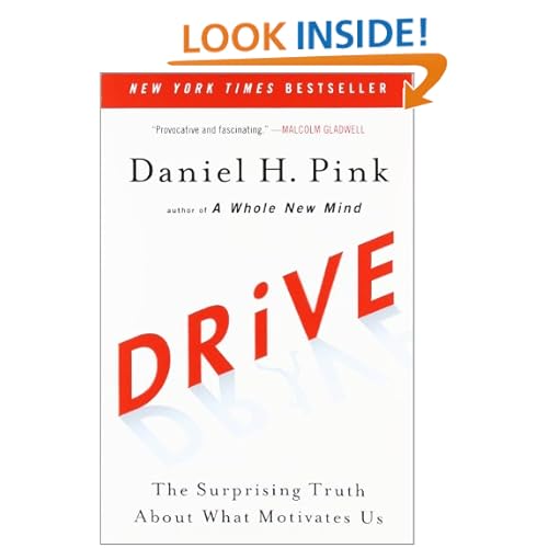 Drive: The Surprising Truth About What Motivates Us