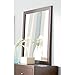 Coaster Home Furnishings 201514 Casual Contemporary Mirror, Cappuccino