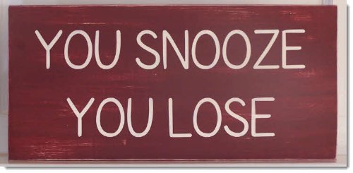 You Snooze You Lose - Wooden Sign 24