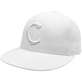 NCAA Zephyr Clemson Tigers White Absolute 32/5 Fitted Hat (6 7/8)