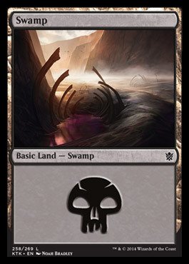 Magic: the Gathering - Swamp (258/269) - Khans of Tarkir - Foil