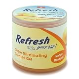 Refresh your Car - 4.5 oz Gel Canister (Mango Mandarin)