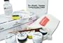 The Sneaker Customization Kit