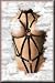Patent PVC Strap Teddy Adjustable Neck and Back Elastic G-String in Black One Size