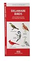Delaware Birds: An Introduction to Familiar Species (State Nature Guides)