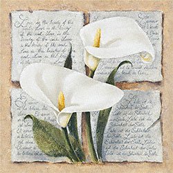 Eurographics LAM1102 Martinelli L., Calla Lily Poetry 18 x 18 cm, Hochwertiger Kunstdruck - Lilien