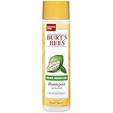Burt's Bees Shampoo, 10 Fluid Ounce