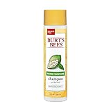 UPC 792850013223 product image for Burt's Bees More Moisture Baobab Shampoo, 10 Fluid Ounces | upcitemdb.com