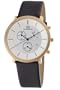 Danish Designs Men's IQ15Q772 Titanium Gold Ion Plated Watch