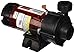 Waterway Plastics 3312620-14 Pump, 230-volt