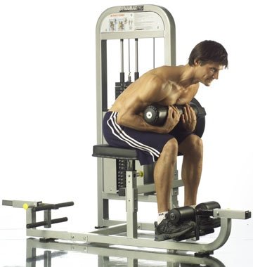 DynamaxPro Ab/Back Combo
