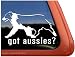 Got Aussies? ~ Australian Shepherd Vinyl Window Auto Decal Sticker