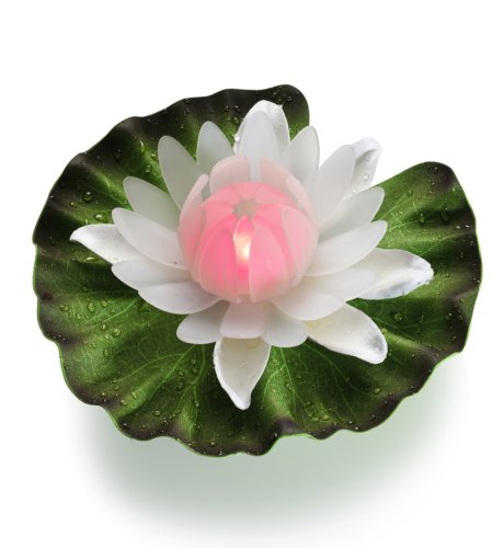 Water Lily Light