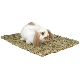 Woven Grass Mat - 11 1/4 in. x 16 in.