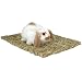 Woven Grass Mat - 11 1/4 in. x 16 in.