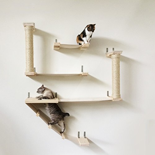 Cool Cat Tree Plans Cat Shelves