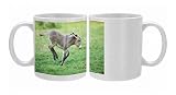 Donkey - foal frolicking on meadow Photo Mugs