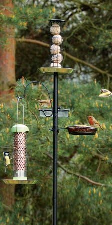 Pinebush Suet Ball Lamp Dining Station