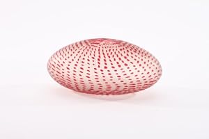 Amber/Red Pod