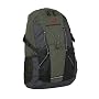 Woodworm Camping Gestic 20L Daysack : Forest Green Woodworm
