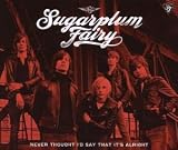 Never Thought Id Say That ItS Alright (2-Track) - Sugarplum Fairy