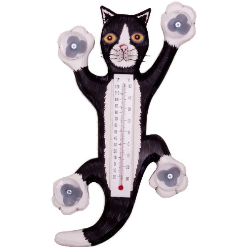 freecat