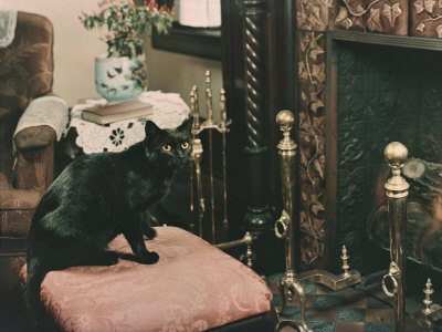 A Cat is Perched on an Ottoman in Front of a Fireplace Photographic Poster Print, 18x24
