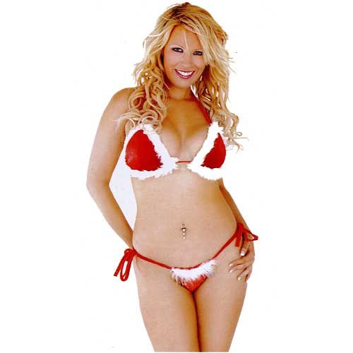 Night Before Christmas Sexy Santa Suit 
