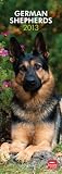  German Shepherds...