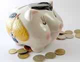 10 Money Saving Tips In The Kitchen 419w%2BrOjCdL. SL160 10 Money Saving Tips In The Kitchen