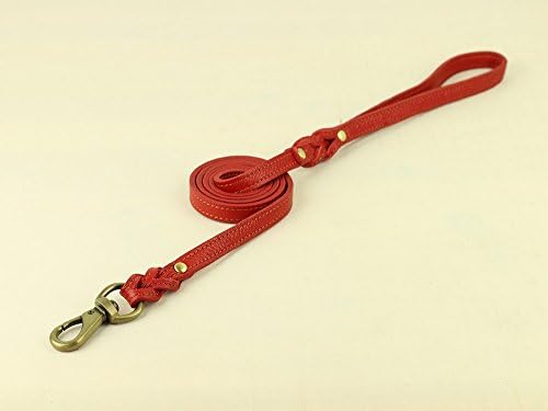 CHEDE Leather Dog Leash - Training &amp; Walking Dog Leash-4 foot