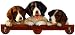   - German Shorthaired Pointer Calendar Cadd