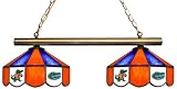 University of Florida Gators Billiard Pool Table Light