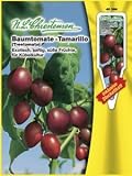 Eigenschaften Chrestensen  / Baumtomate Tamarillo