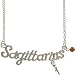 Sagittarius Horoscope Zodiac Nameplate Necklace In Silver