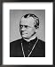 Gregor Johann Mendel Austrian Botanist Framed Art Poster Print, 18x22
