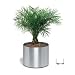 Garten & Freizeit : Blomus 65104 GREENS Blumentopf auf Rollen Ø 30 cm