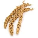 PETCO Spray Millet, Pack of 24