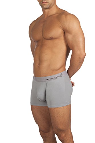 Obviously - Original - AnatoMAX - Boxer Brief 3 inch Leg (Medium, Gray)