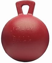 Buy Jolly Pets 410 RD Horse Jolly Ball 10-Inch Red