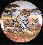 Cheetah and Cubs Collectors Plate