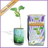 "Happy Birthday" Planter Kit - Just Add Water and Watch Your "Happy Birthday"...