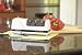 Kitchen & Housewares : Edgecraft Corp 0120000 EdgeSelect Professional Knife Sharpener