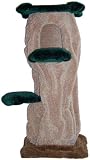 Kitty Hollow Cat Tree : Size 63 INCH