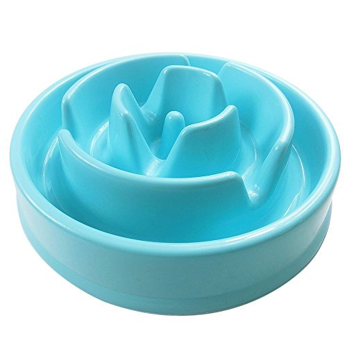 BARA Novel & Interactive & Fun Slow Feed Pet Bowl, Anti-Chocking Feeder, Healthy Diet For Dog, Bud-shaped, Blue