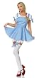 Sexy Halloween 2Pc Wizard Of Oz Dorothy Costume
